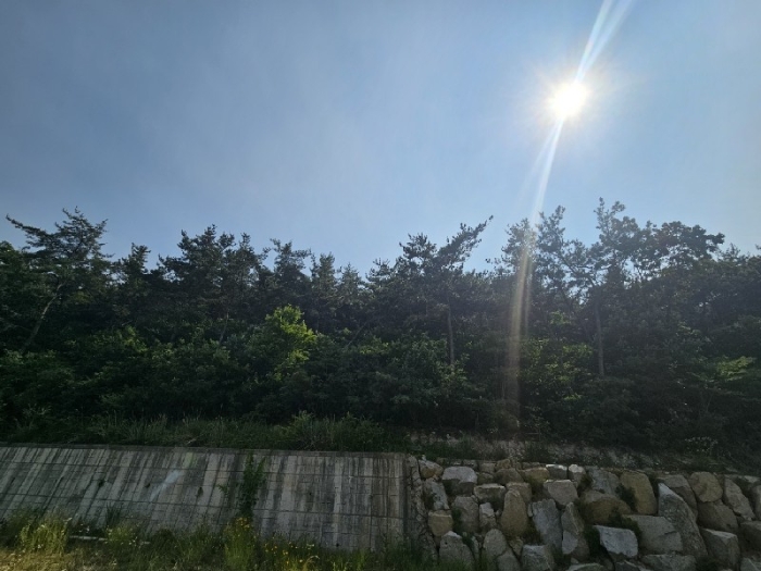 일련번호(1) 전경