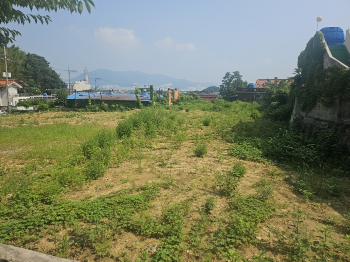 본건 일련번호(1-6) 전경