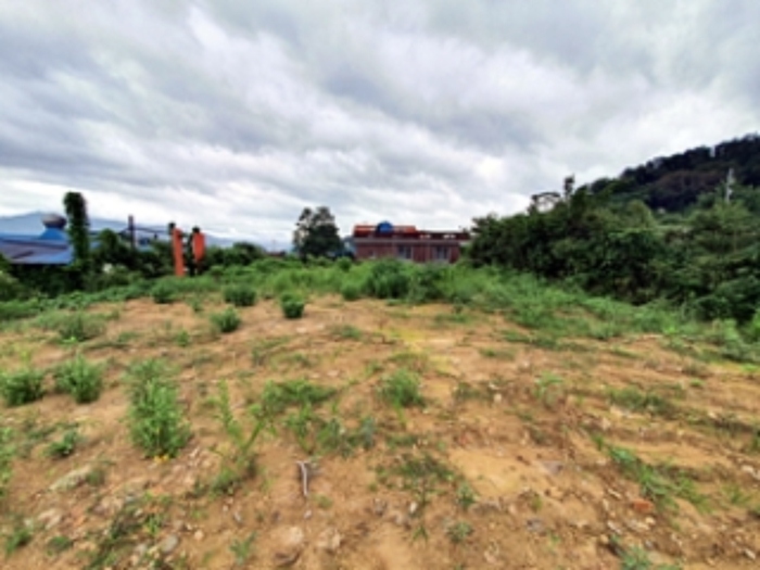 기호4 및 주변전경