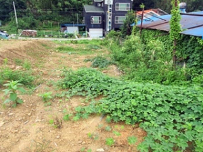 기호5 및 주변전경