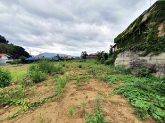 기호6 및 주변전경