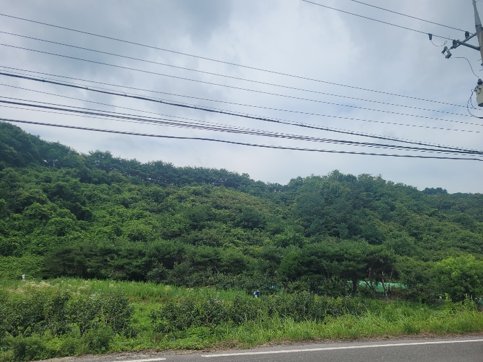 본건 및 인근전경