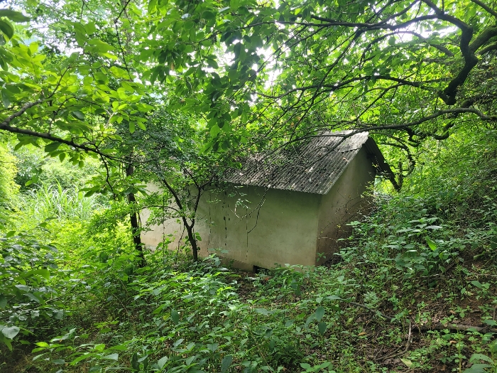 제시외건물(ㄱ)