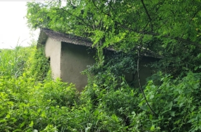 본건 지상에 제시 외 농막 소재