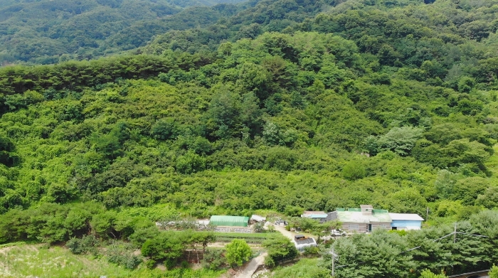 본건 및 인근전경