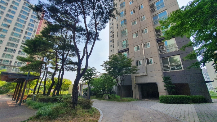 본 건  북 서 측  현 황