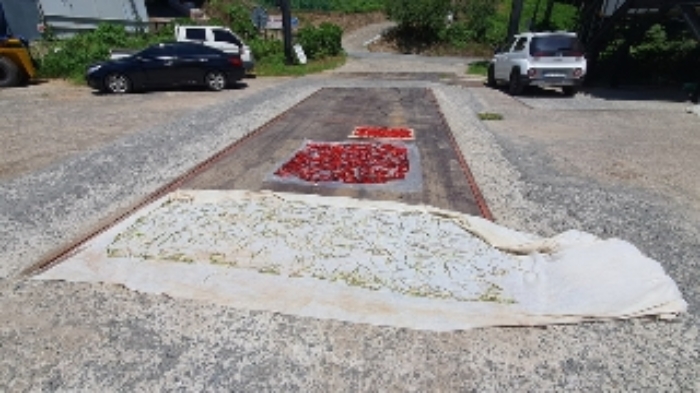 제시외 계근대 1식