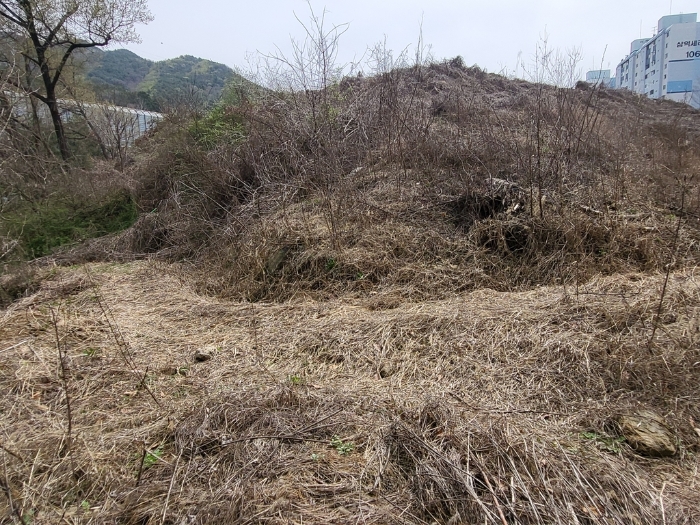 본건 기호(3) 전경