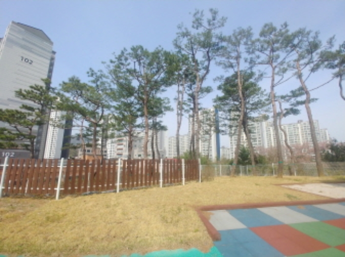 목록1 소나무 (1)