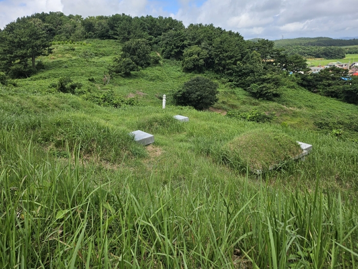 기호(2) 지상 경계에 위치하는 분묘