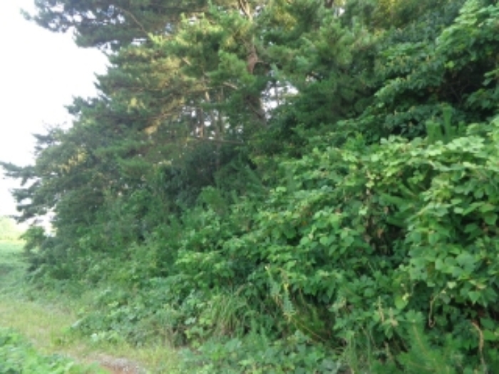 [목록 3] 북동쪽 지상의 모습