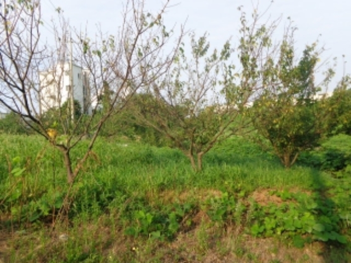 [목록 3] 남서쪽 지상의 모습