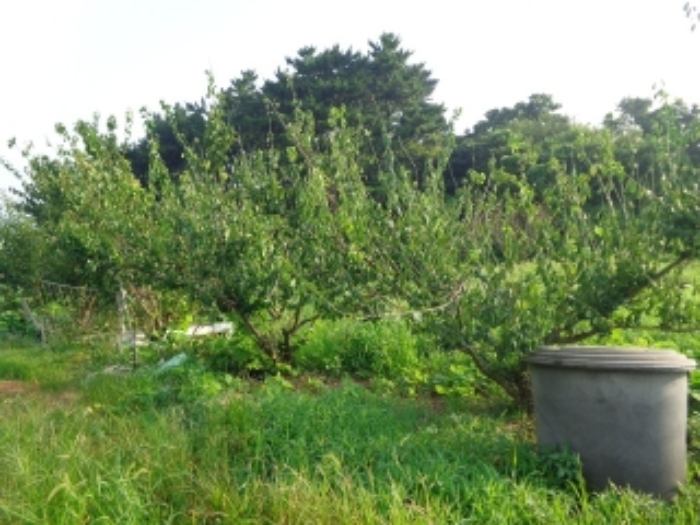 [목록 3] 남서쪽 가장자리 지상의 모습