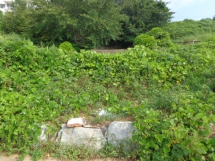 [목록 6] 옷점길과 맞닿은 지상의 모습