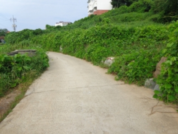 [목록 6] 남쪽 경계 부분 지상의 모습
