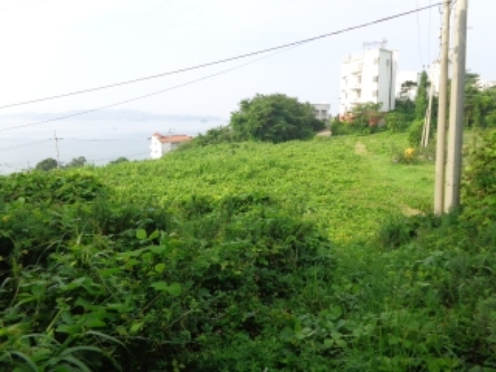 [목록 1, 2] 북동쪽에서 남서쪽을 바라본 모습