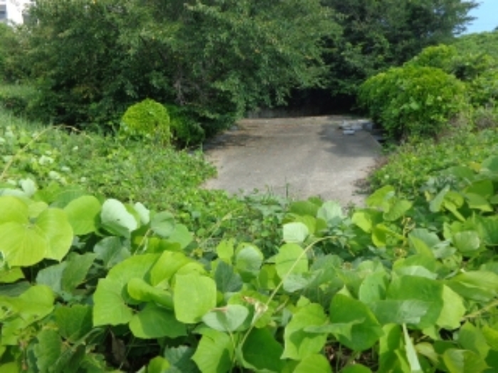 [목록 5, 6] 남쪽에서 바라본 모습