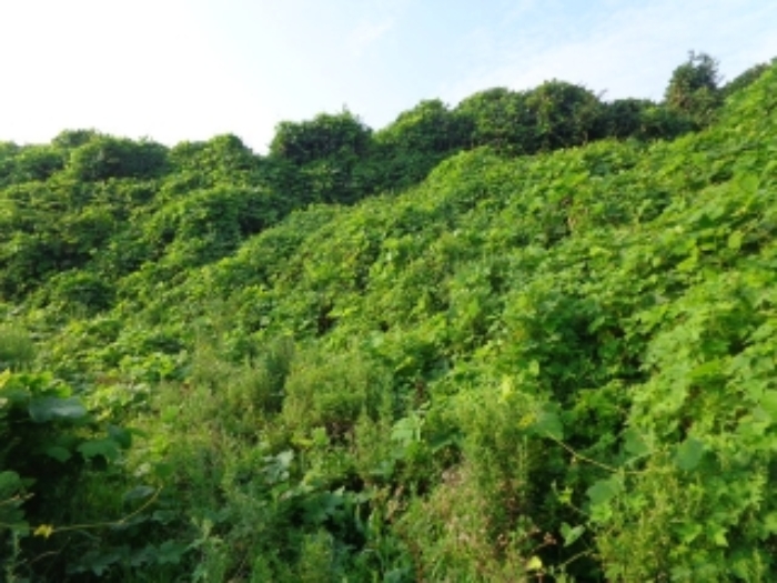 [목록 4] 북서쪽 지상의 모습