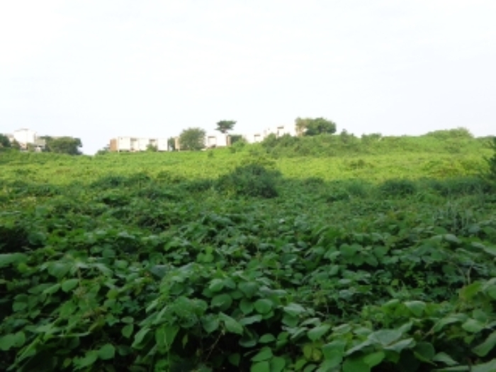 [목록 4] 남쪽 지상의 모습