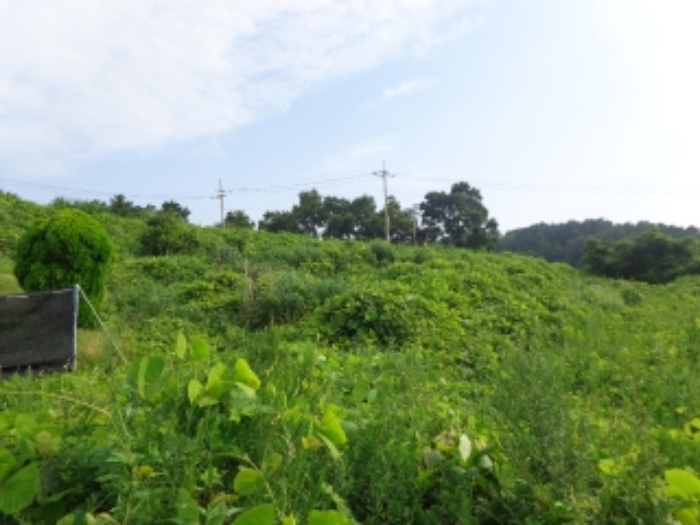 [목록 2] 남서쪽에서 바라본 모습