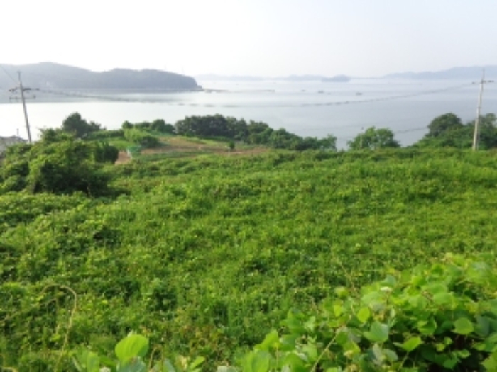 [목록 2] 윗단에서 중간단과 아랫단을 바라본 모습