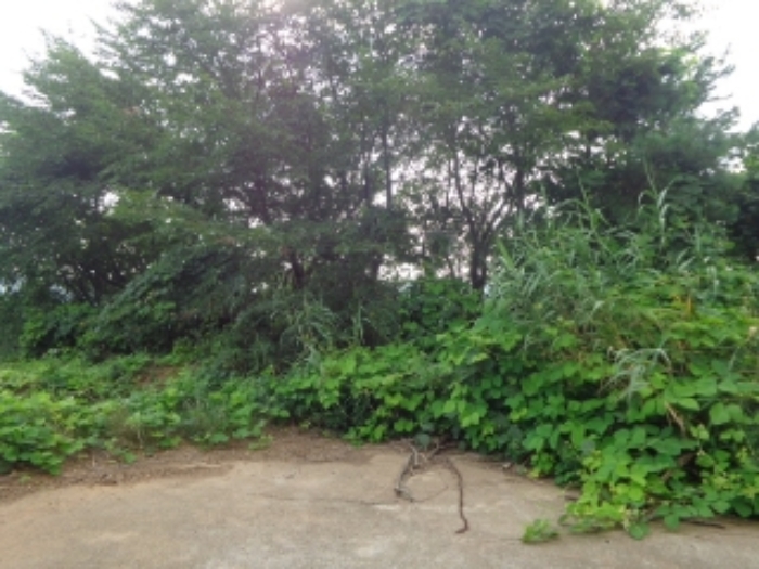 [목록 2] 남서쪽 가장자리 지상의 모습