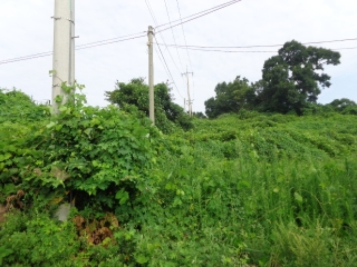 [목록 2] 내부에 전봇대가 설치되어 있는 모습