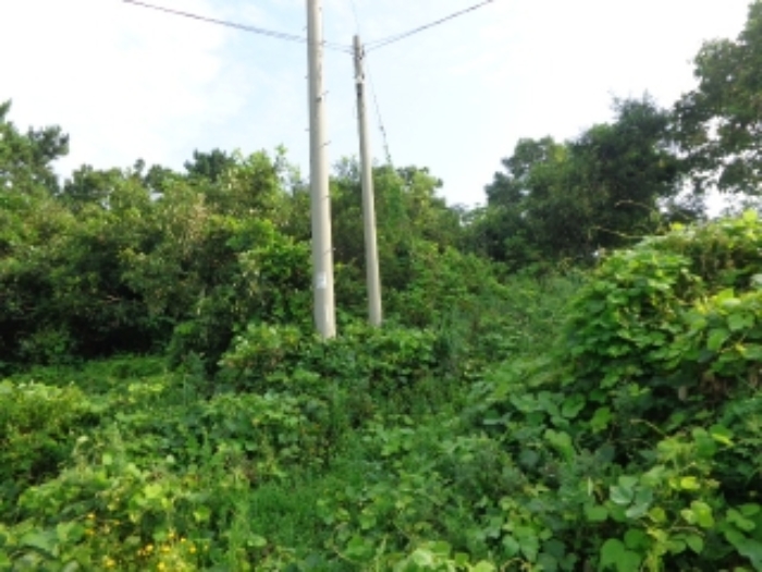 [목록 2] 내부에 전봇대가 설치되어 있는 모습