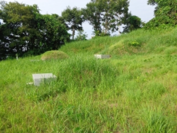 [목록 2] 북동쪽 지상에 있는 분묘의 모습