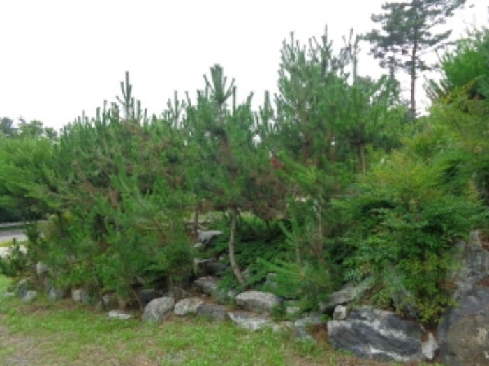 [목록 4] 동쪽에서 바라본 모습