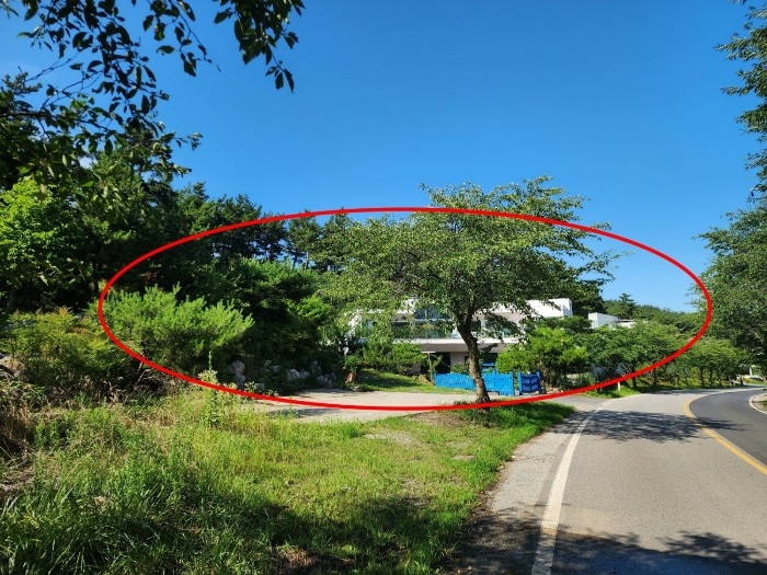 본건 근경(서측에서 촬영)