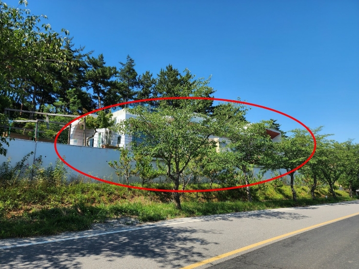 기호(2,3) 전경 2