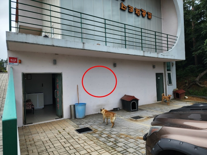 기호(2) 지하층 전경