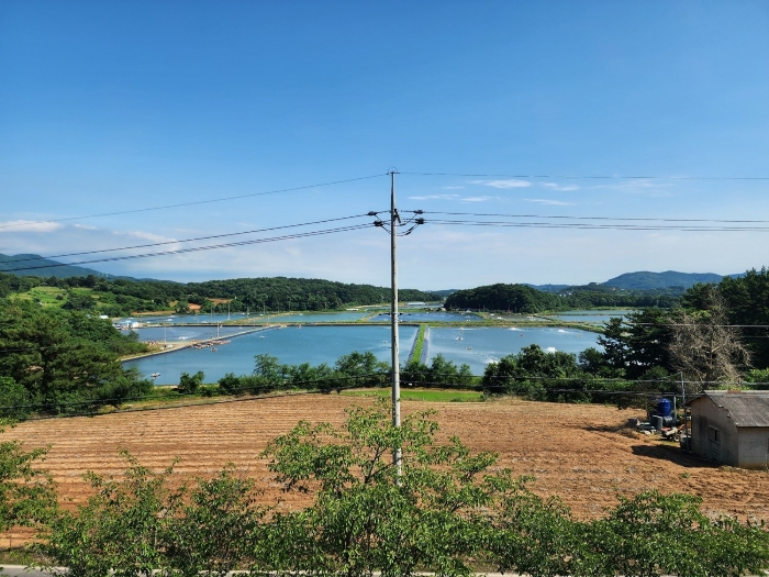 본건 남측 주변 전경