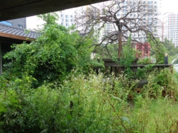 [목록 1] 남쪽 지상(마당)의 모습