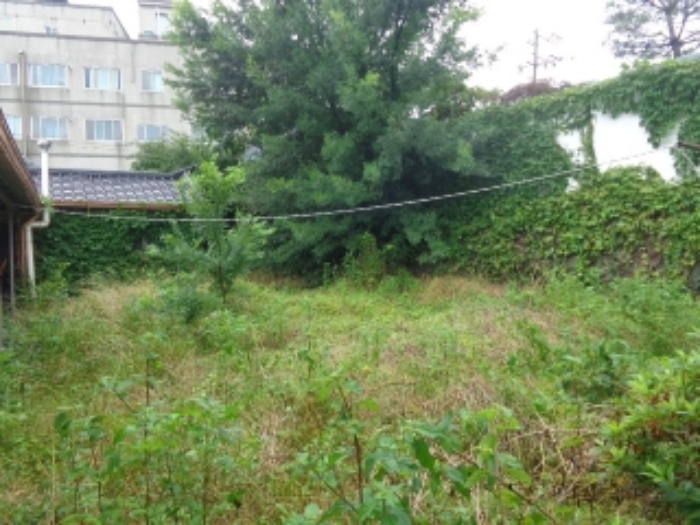 [목록 1] 주택 후면 북쪽 지상의 모습