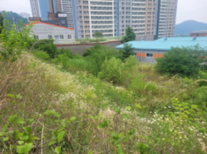 대구 달성군 다사읍 서재리 942 묵전임.