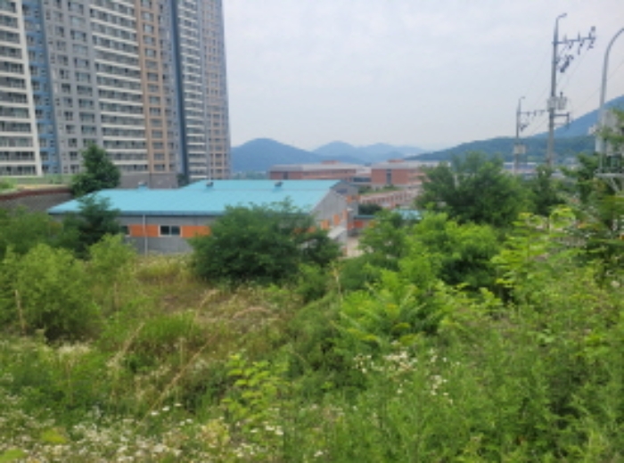 대구 달성군 다사읍 서재리 942 묵전임.