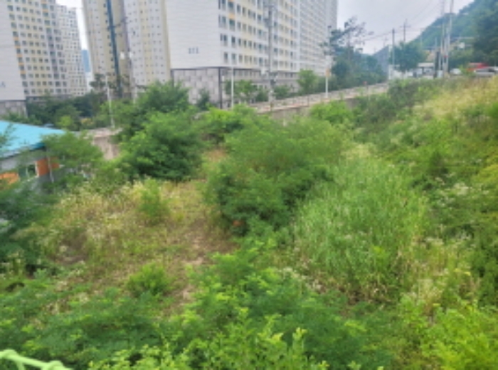 대구 달성군 다사읍 서재리 942 묵전임.