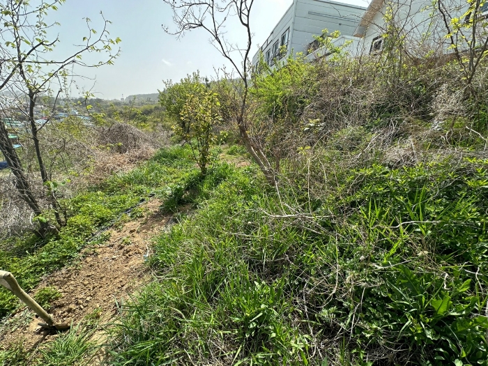 일련번호(2) 전경