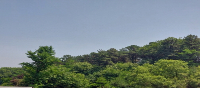 목록4 토지 일부 전경