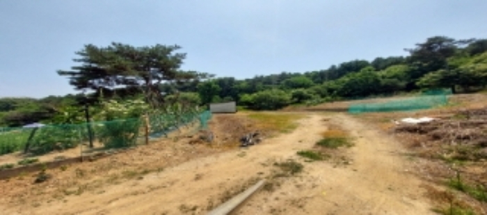 목록1 토지 일부 전경