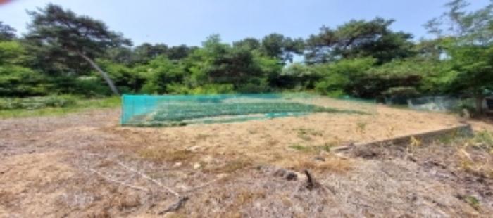 목록4 토지 일부 전경