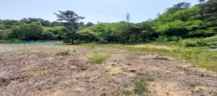 목록4 토지 일부 전경