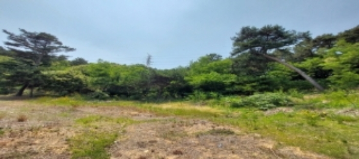 목록4 토지 일부 전경