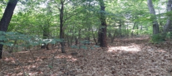 목록2,3 토지 일부 전경