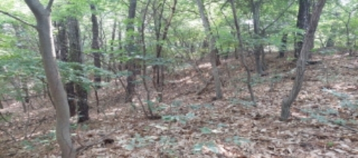 목록2,3 토지 일부 전경