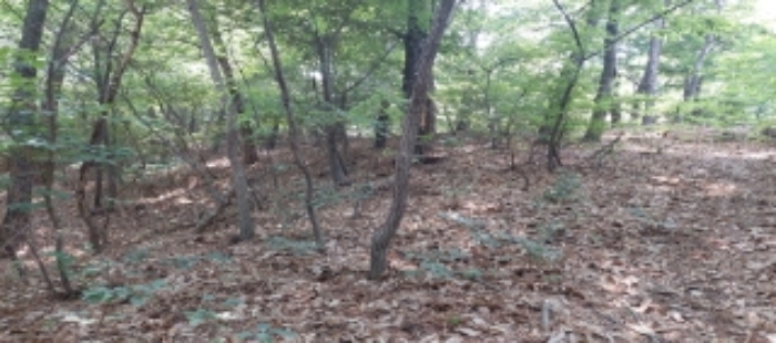 목록2,3 토지 일부 전경