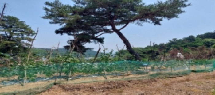 목록1 토지 일부 전경