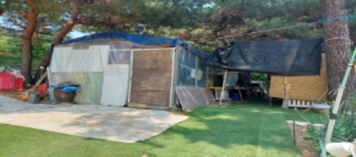 목록4 토지 일부 전경